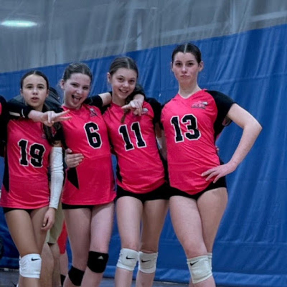 Meet your Posher, Hudson